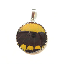 Load image into Gallery viewer, Real Butterfly Wing Pendant American Swallowtail Medium Round