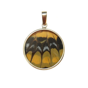 Real Butterfly Wing Pendant American Swallowtail Medium Round