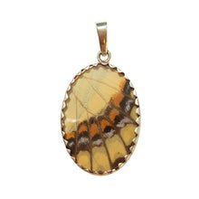 Load image into Gallery viewer, Real Butterfly Wing Pendant American Swallowtail in a medium size oval shape.