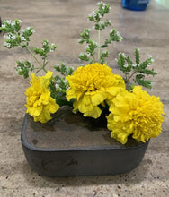 Load image into Gallery viewer, Japanese Square Vase in Gray Pebble Finish with Yellow Ochre