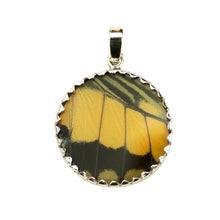 Load image into Gallery viewer, Real Butterfly Wing Pendant American Swallowtail Medium Round