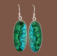 Load image into Gallery viewer, Malachite in Chrysocolla Earrings in elongated oval shape Sterling Silver Frames