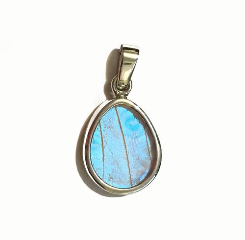 Butterfly Wing Pendant Pearl Blue Morpho Butterfly Pendant Extra Small Size in Pear Shape