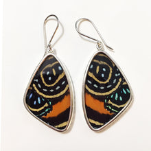 Load image into Gallery viewer, Butterfly Wing Earrings Speckled Numberwing in Large Size