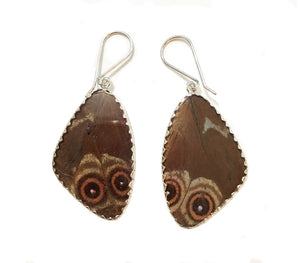 Butterfly Wing Earrings Speckled Numberwing in Large Size