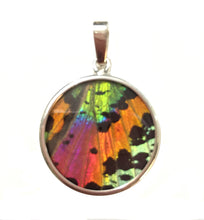 Load image into Gallery viewer, Sunset Moth Butterfly Wing Pendant medium round