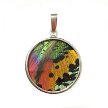 Load image into Gallery viewer, Sunset Moth Butterfly Wing Pendant medium round