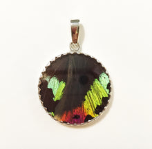 Load image into Gallery viewer, Sunset Moth Butterfly Wing Pendant medium round