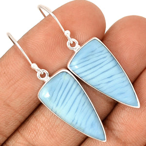 Blue Owyhee Jasper Earrings in Shield Shape