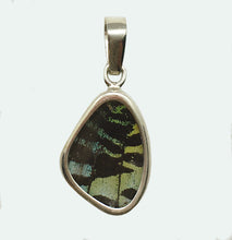 Load image into Gallery viewer, Butterfly Wing Pendant Green Banded Urania Leilus Extra Small Wing Shape