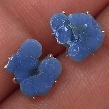 Load image into Gallery viewer, Grape Blue Chalcedony earrings aka Manakarra Botryoidai earrings