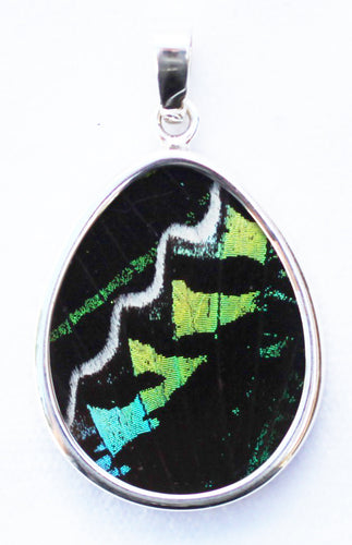 Butterfly Wing Pendant Green Banded Urania Leilus Medium Pear Shape