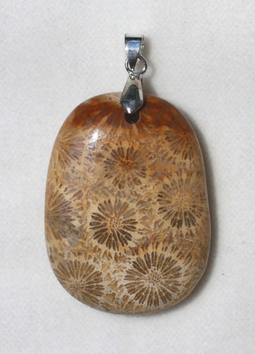 Fossilized Coral Pendant with exceptional pattern