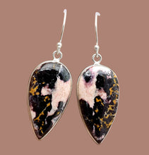 Load image into Gallery viewer, Indian Blanket Jasper Earrings in petal shape