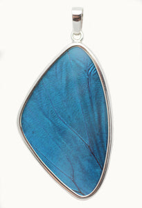 Blue Morpho Butterfly Wing Silver Pendant in XL