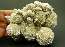Load image into Gallery viewer, Desert Rose Selenite Specimen - amazing condition