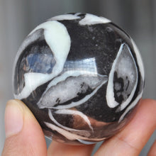 Load image into Gallery viewer, Coral Shell Jasper Sphere looks like a piece of abstract art 50mm wide
