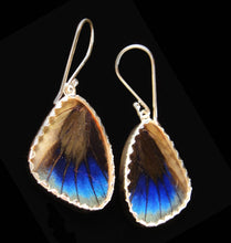Load image into Gallery viewer, Green Butterfly Earrings in Small