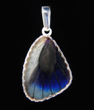 Load image into Gallery viewer, Butterfly Wing Pendant Peacock Butterfly Size Small