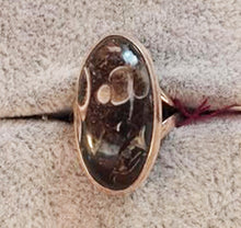 Load image into Gallery viewer, Turritella Agate aka Elimia Agate Ring Size 6.5 Pear Shape