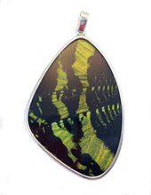 Load image into Gallery viewer, Butterfly Wing Pendant Green Banded Urania Leilus XXL