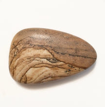 Load image into Gallery viewer, African Queen Picture Jasper Palm Stone