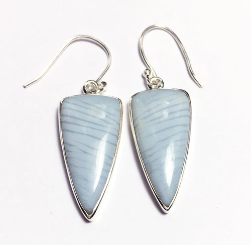 Blue Owyhee Jasper Earrings in Shield Shape