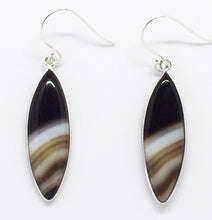 Load image into Gallery viewer, Botswana Agate Brown Marquise Earrings
