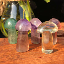 Load image into Gallery viewer, Purple Fluorite, Green Fluorite and Yellow Fluorite Mushrooms