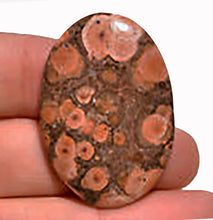Load image into Gallery viewer, Morgan Hill Poppy Jasper Cabochon