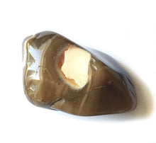 Load image into Gallery viewer, Peanut Wood Jasper Tumbled Stone