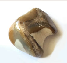 Load image into Gallery viewer, Peanut Wood Jasper Tumbled Stone