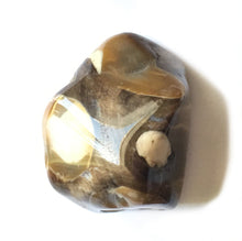 Load image into Gallery viewer, Peanut Wood Jasper Tumbled Stone
