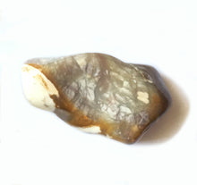 Load image into Gallery viewer, Peanut Wood Jasper Tumbled Stone