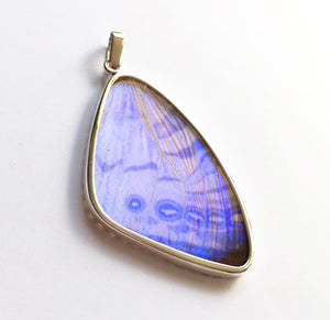 Butterfly Wing Pearl Blue Morpho Pendant in Size Large