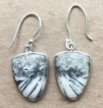 Load image into Gallery viewer, Pinolith Earrings in Vase-Shape