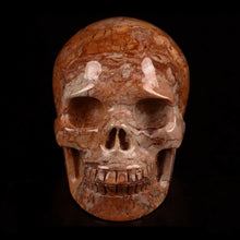 Load image into Gallery viewer, Red Crazy Lace Agate Skull 1 lb!