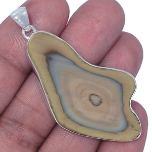 Royal Imperial Jasper 2-1/4 inch Free-Form Pendant with Egg Formation