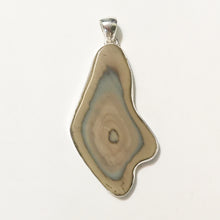 Load image into Gallery viewer, Royal Imperial Jasper 2-1/4 inch Free-Form Pendant with Egg Formation