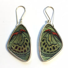 Load image into Gallery viewer, Butterfly Wing Earrings Green and Red Peacock Butterfly Large