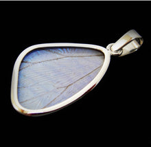 Load image into Gallery viewer, Pearl Blue Morpho Butterfly Pendant in size Small