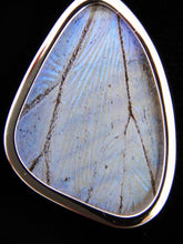 Load image into Gallery viewer, Pearl Blue Morpho Butterfly Pendant in size Small