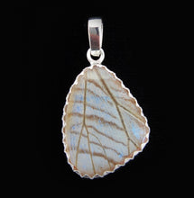Load image into Gallery viewer, Pearl Blue Morpho Butterfly Pendant in size Small