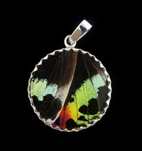 Load image into Gallery viewer, Sunset Moth Butterfly Wing Pendant medium round