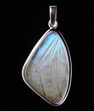 Load image into Gallery viewer, Butterfly Wing Pearl Blue Morpho Pendant medium size