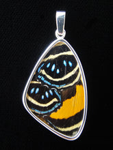 Load image into Gallery viewer, Butterfly Wing Pendant Speckled Numberwing Large Size