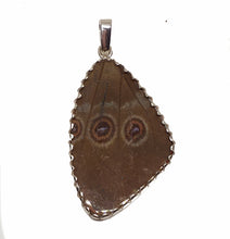 Load image into Gallery viewer, Butterfly Wing Pendant Speckled Numberwing Large Size
