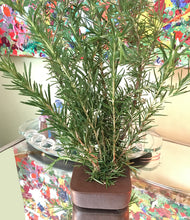 Load image into Gallery viewer, Japanese Square Vase in Bronze Pebble Finish