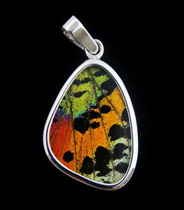 Sunset Moth Butterfly Wing Pendant Small Size
