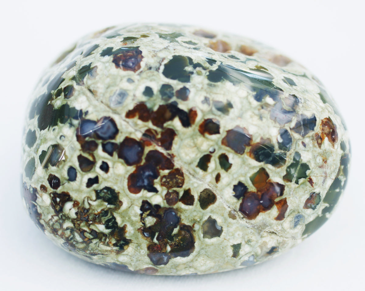 Rhyolite – Life is a Gift Shop